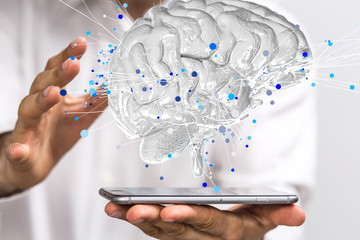 大班主题教案《动物世界》