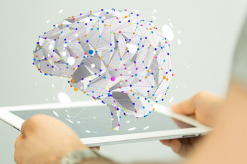 大班主题教案《动物世界》