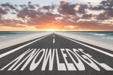 青岛有哪些网红？