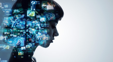 从宣化红十字医院到洋河南大桥坐几路公交车