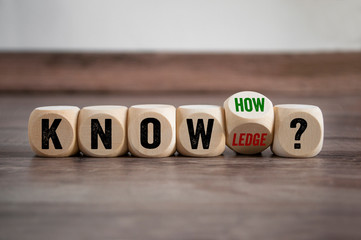 大班主题教案《动物世界》