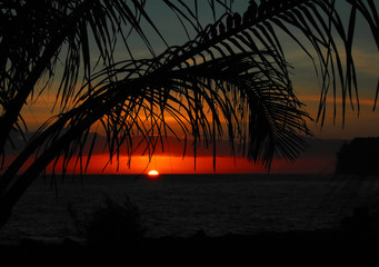 铃木全新小型suv