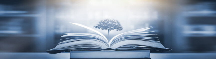 新年开学寄语幼儿园