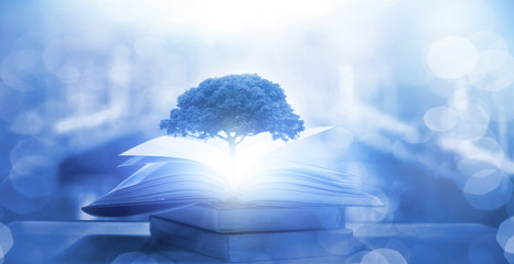 起亚kxcross买的人多吗