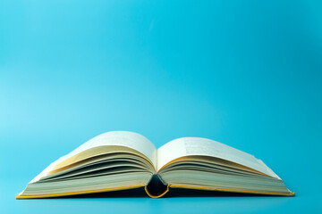 大班主题教案《动物世界》