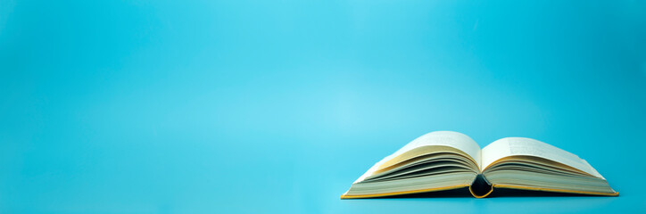 大班主题教案《动物世界》