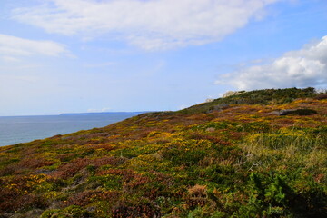 标致4008国VI落地需要多少钱？