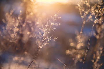 从宣化红十字医院到洋河南大桥坐几路公交车
