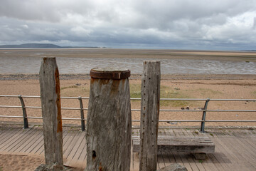 新年开学寄语幼儿园