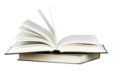 大班主题教案《动物世界》