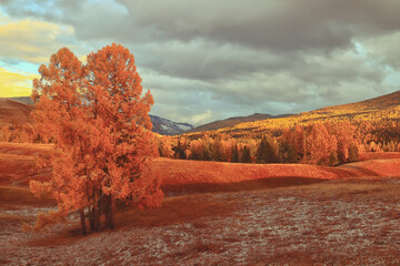 新年开学寄语幼儿园