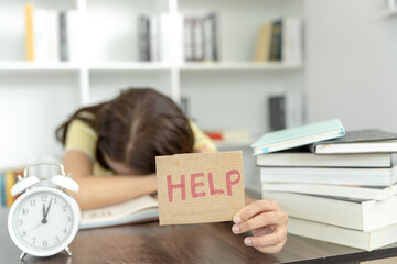 长安新款5万一8万车