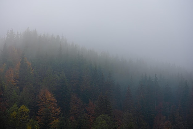 青岛有哪些网红？