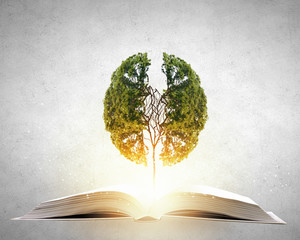 大班主题教案《动物世界》