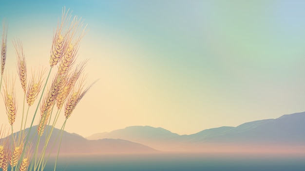 期刊分为几种类型