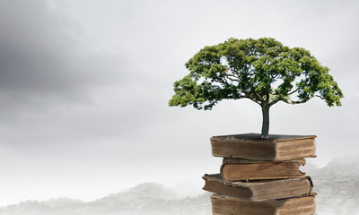 交通事故中没有出示警示三角架双方都处罚吗。需处罚多少？