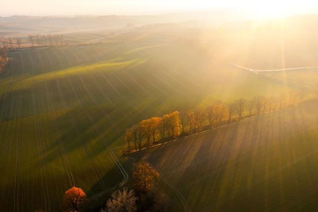 交通事故中没有出示警示三角架双方都处罚吗。需处罚多少？