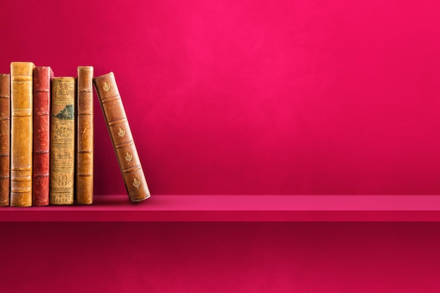 大班主题教案《动物世界》