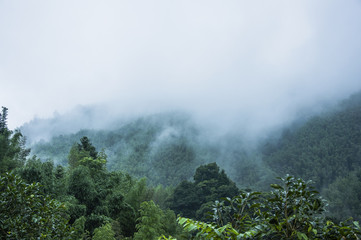 认清八种交警手势信号口诀